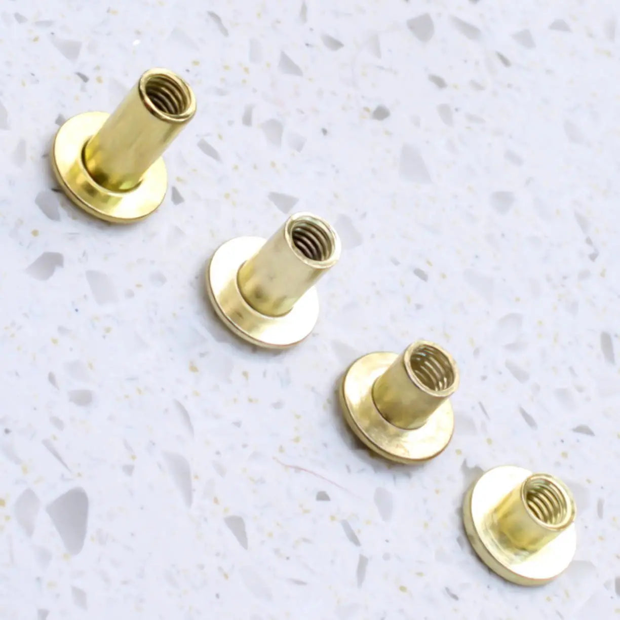 brass Binding Screws