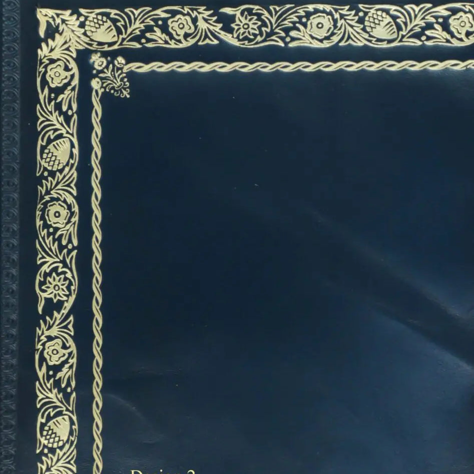 Blue Calf Leather Inserts Design 2