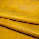 Country Soft Summer Daffodil