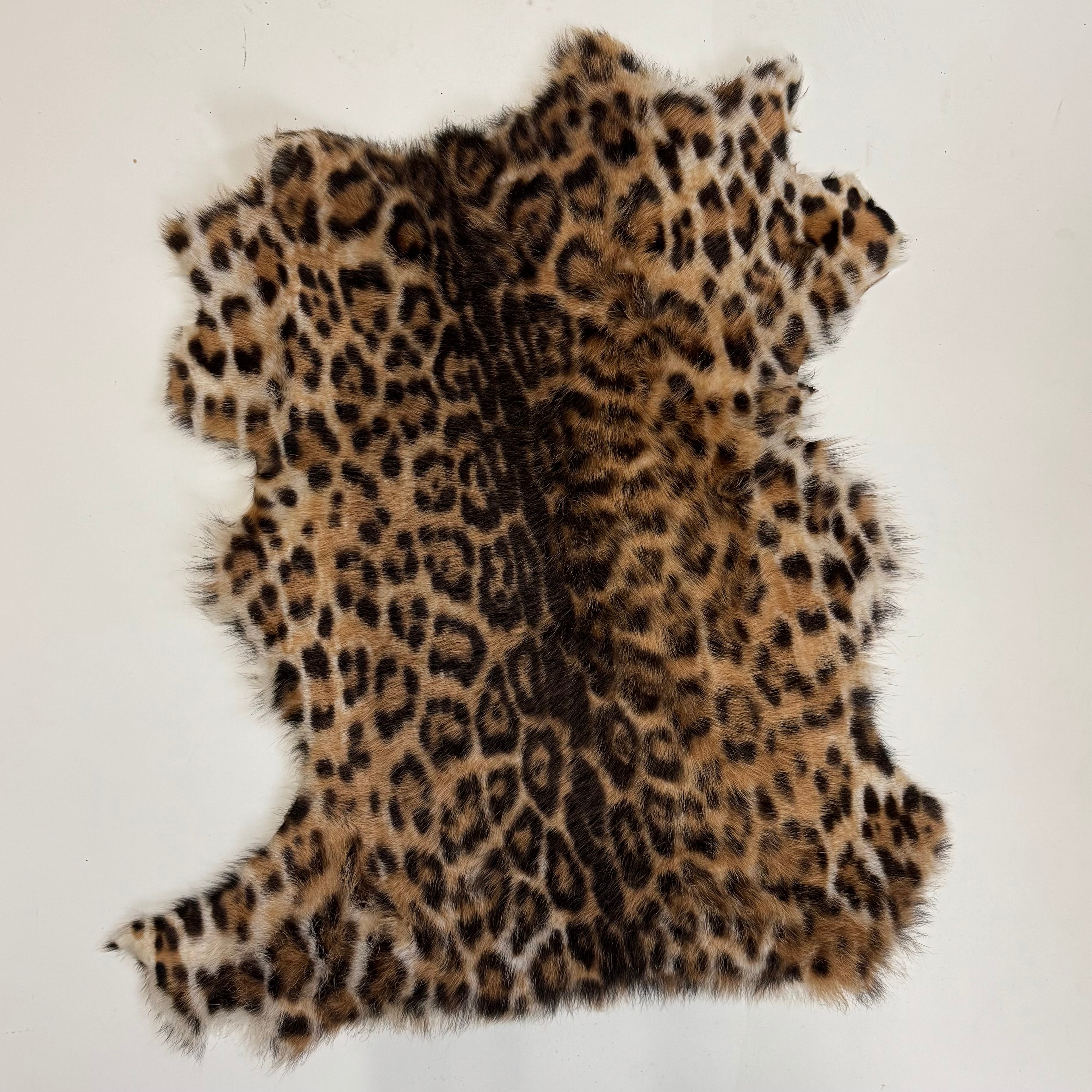 Leopard print fur leather hide on a white background