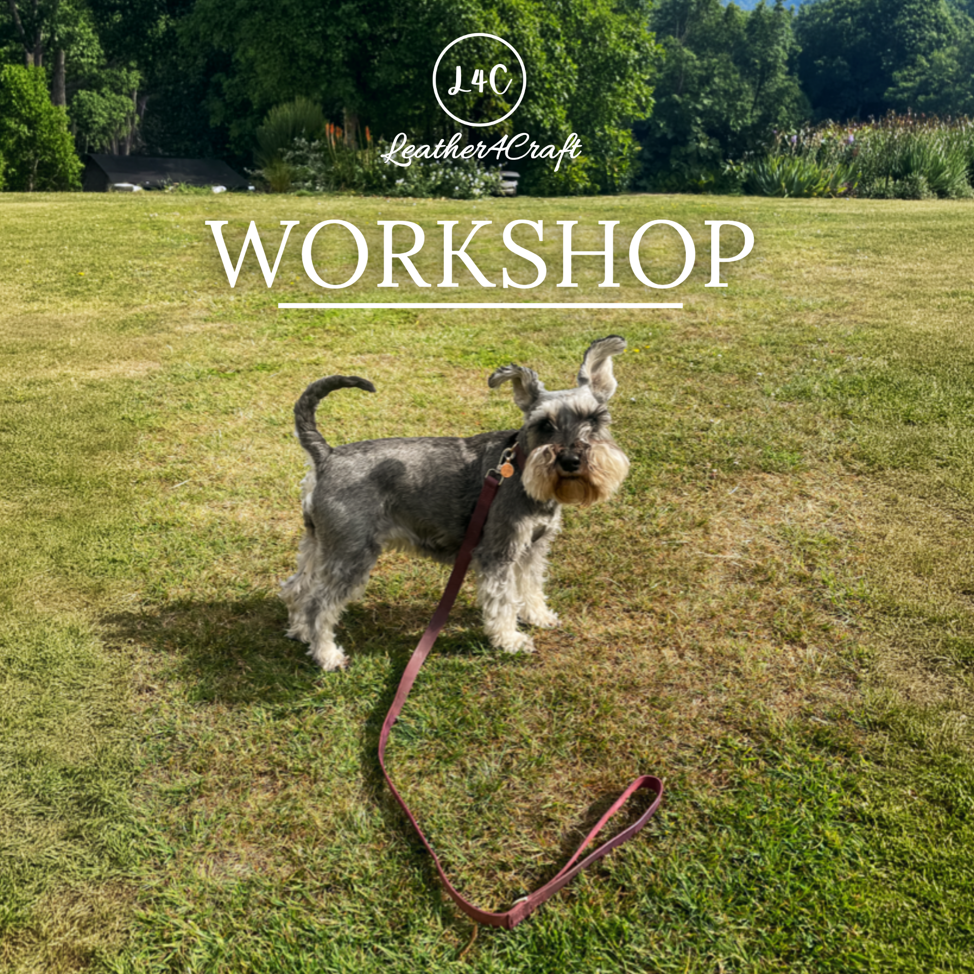 Dog on a leash in a grassy field with 'Leather4Craft' workshop text overlay.