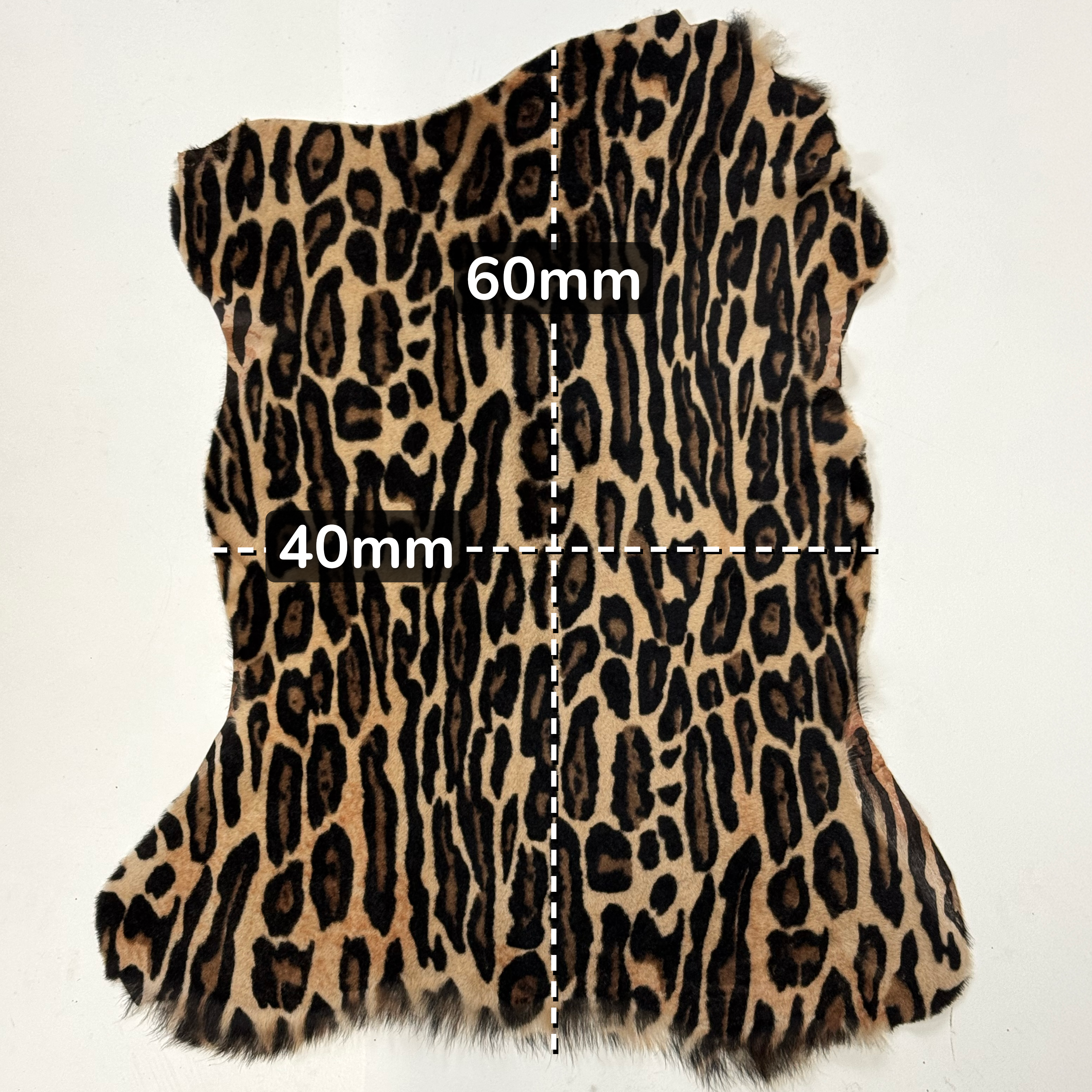 Leopard print hide with measurements on a white background