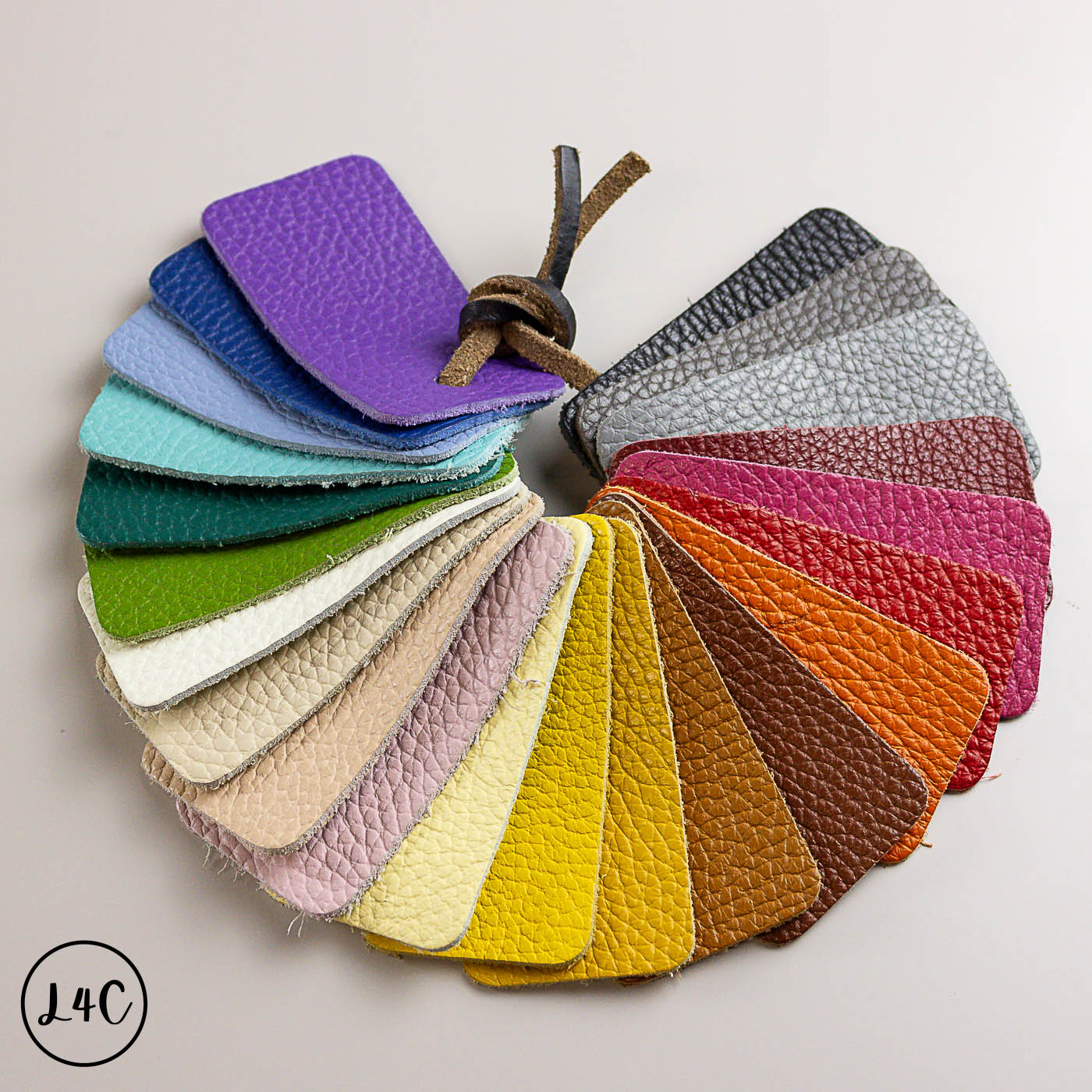 Color swatch card with various leather textures and colors on a neutral background