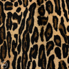 Close-up of a leopard print pattern