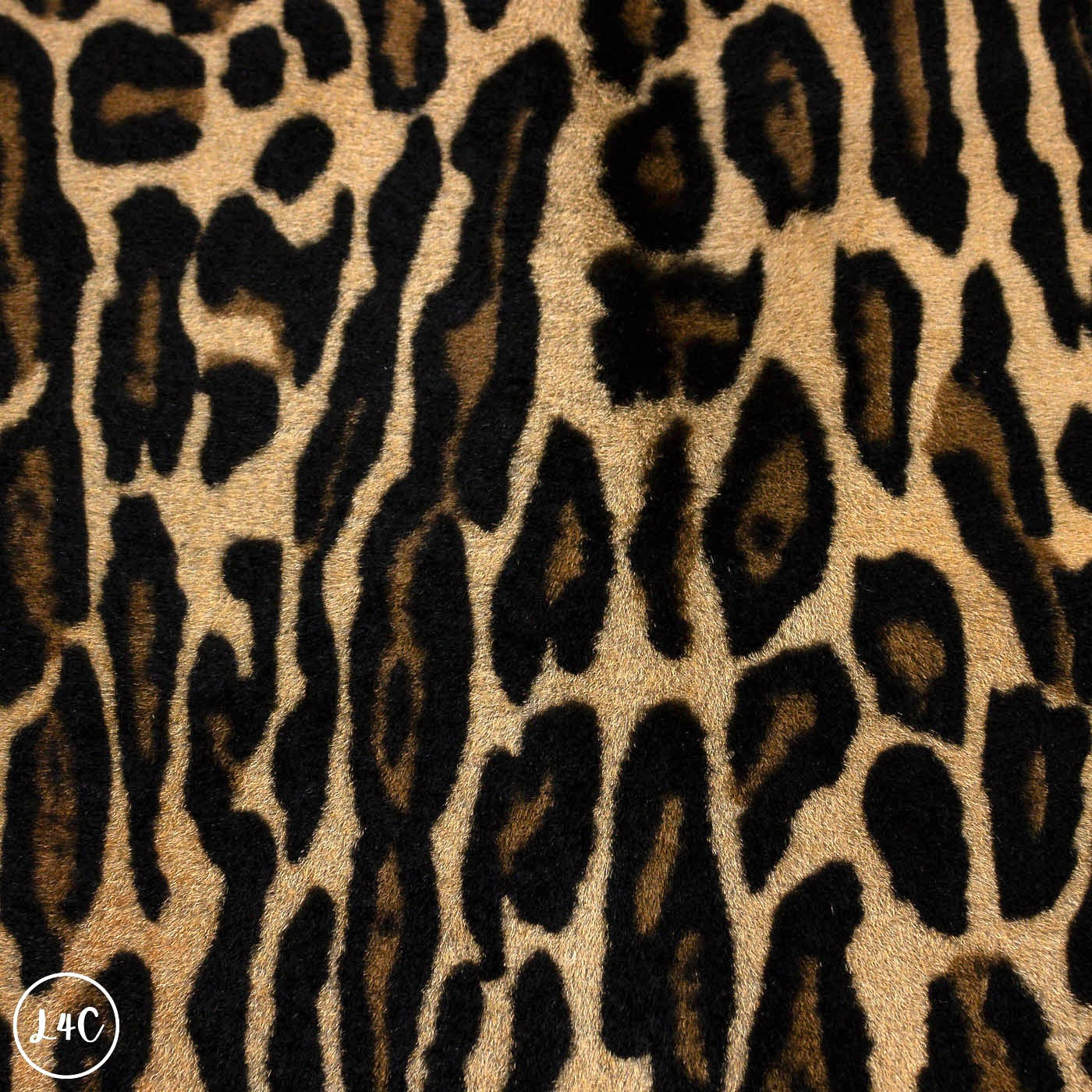 Close-up of a leopard print pattern
