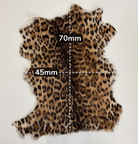 Leopard print fur with measurements on a white background