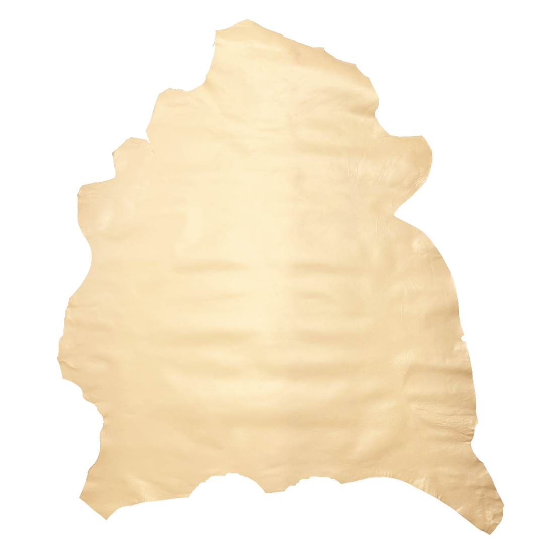 Beige leather hide on a white background