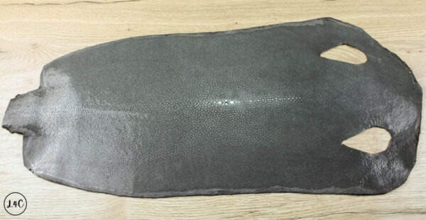 Grey Stingray, Shagreen, 65 x 28 cm